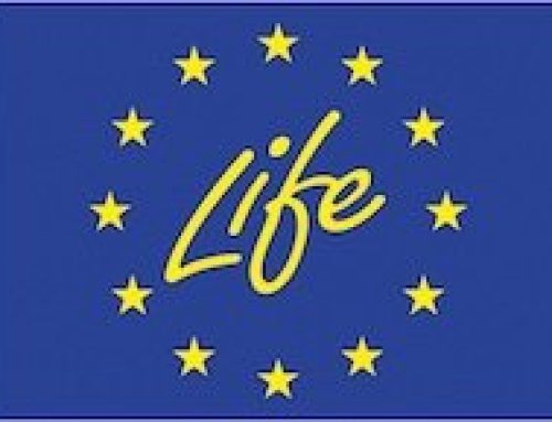 A Comisión Europea convoca unha nova edición de Life+