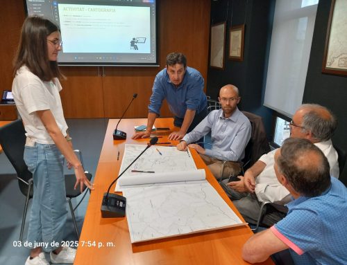 Dinamització participativa per a la implementació de les energies renovables a la comarca de la Cerdanya