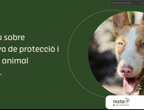 Formació sobre la normativa de protecció i benestar animal