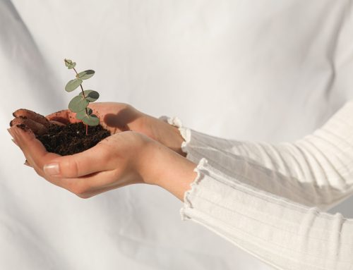 Formació en sostenibilitat ambiental pel sector cultural